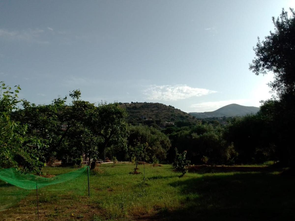 Casa Vacanza Maria Antonieta Marina di Camerota Bagian luar foto