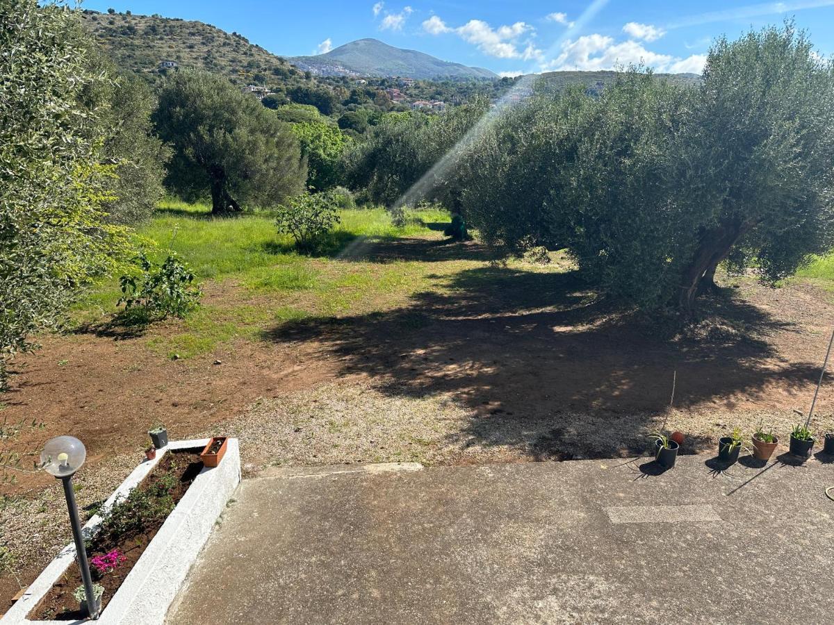 Casa Vacanza Maria Antonieta Marina di Camerota Bagian luar foto