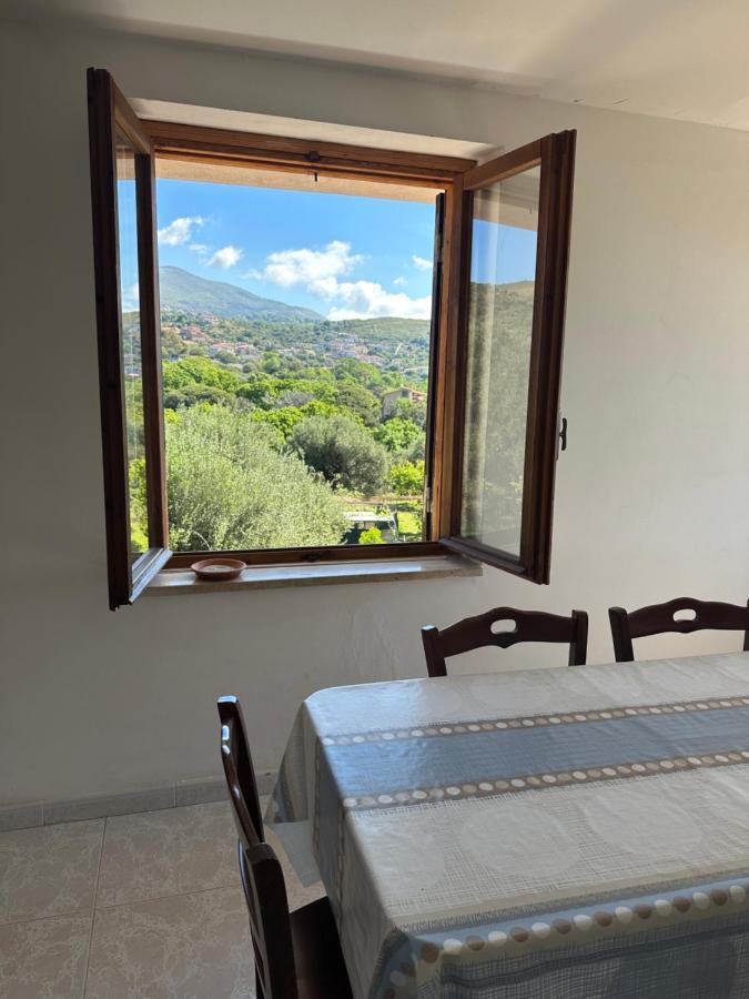 Casa Vacanza Maria Antonieta Marina di Camerota Bagian luar foto