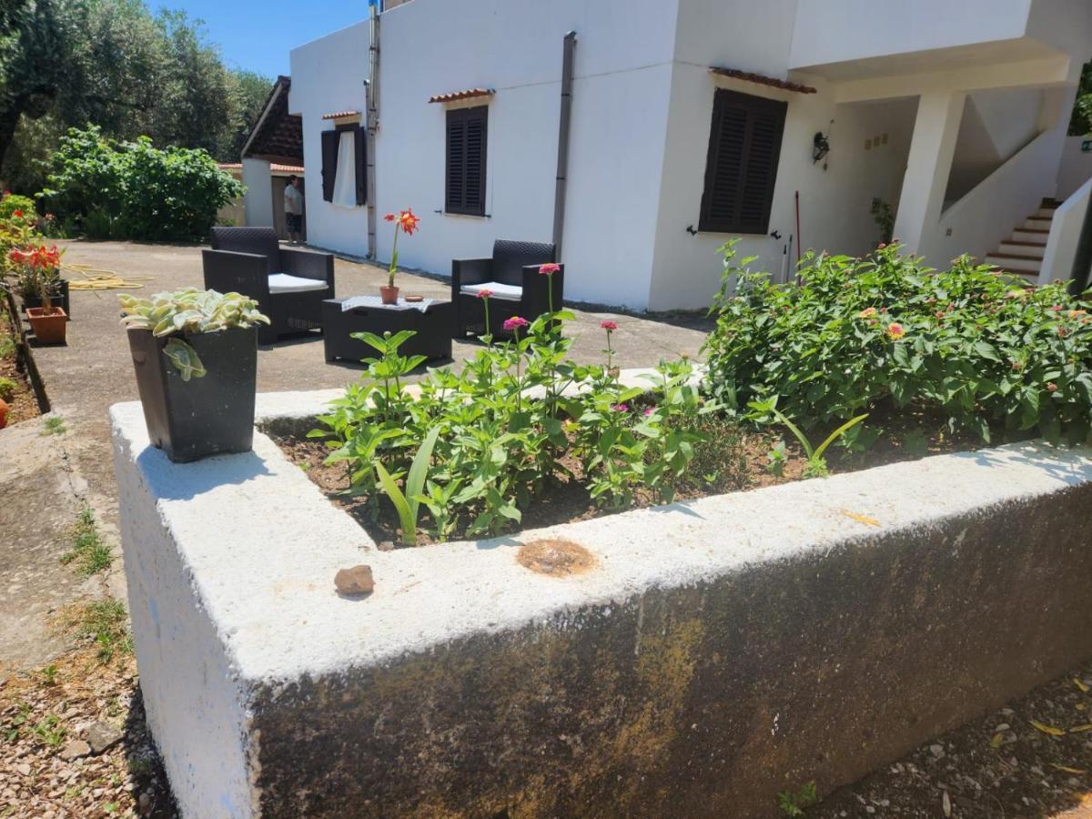 Casa Vacanza Maria Antonieta Marina di Camerota Bagian luar foto